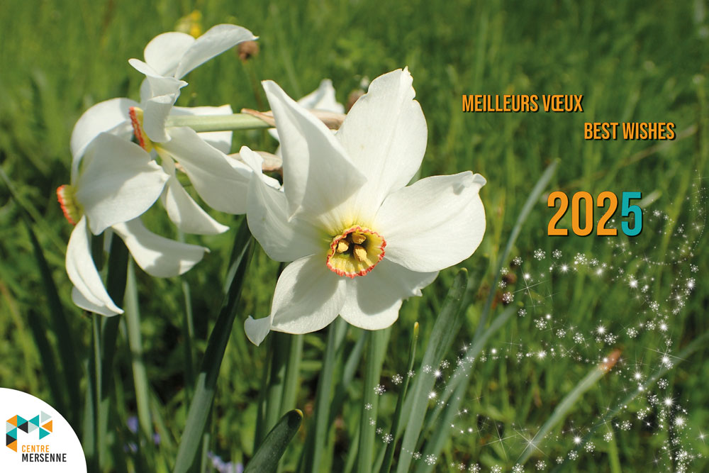 Narcisses blancs à gauche de l'image, dans l'herbe. Sur la droite, on peut lire : Meilleurs vœux / Best wishes 2025